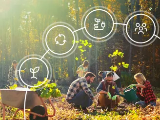 People working on a sustainability project